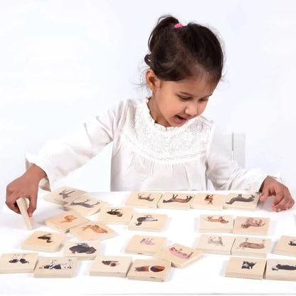 Domestic Animal Family Match Game-Domestic Animal Family Match Game