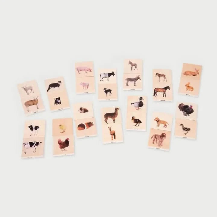 Domestic Animal Family Match Game-Domestic Animal Family Match Game