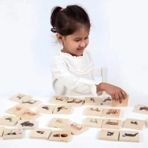 Domestic Animal Family Match Game-Domestic Animal Family Match Game