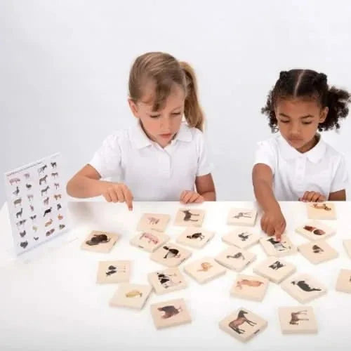 Domestic Animal Family Match Game-Domestic Animal Family Match Game