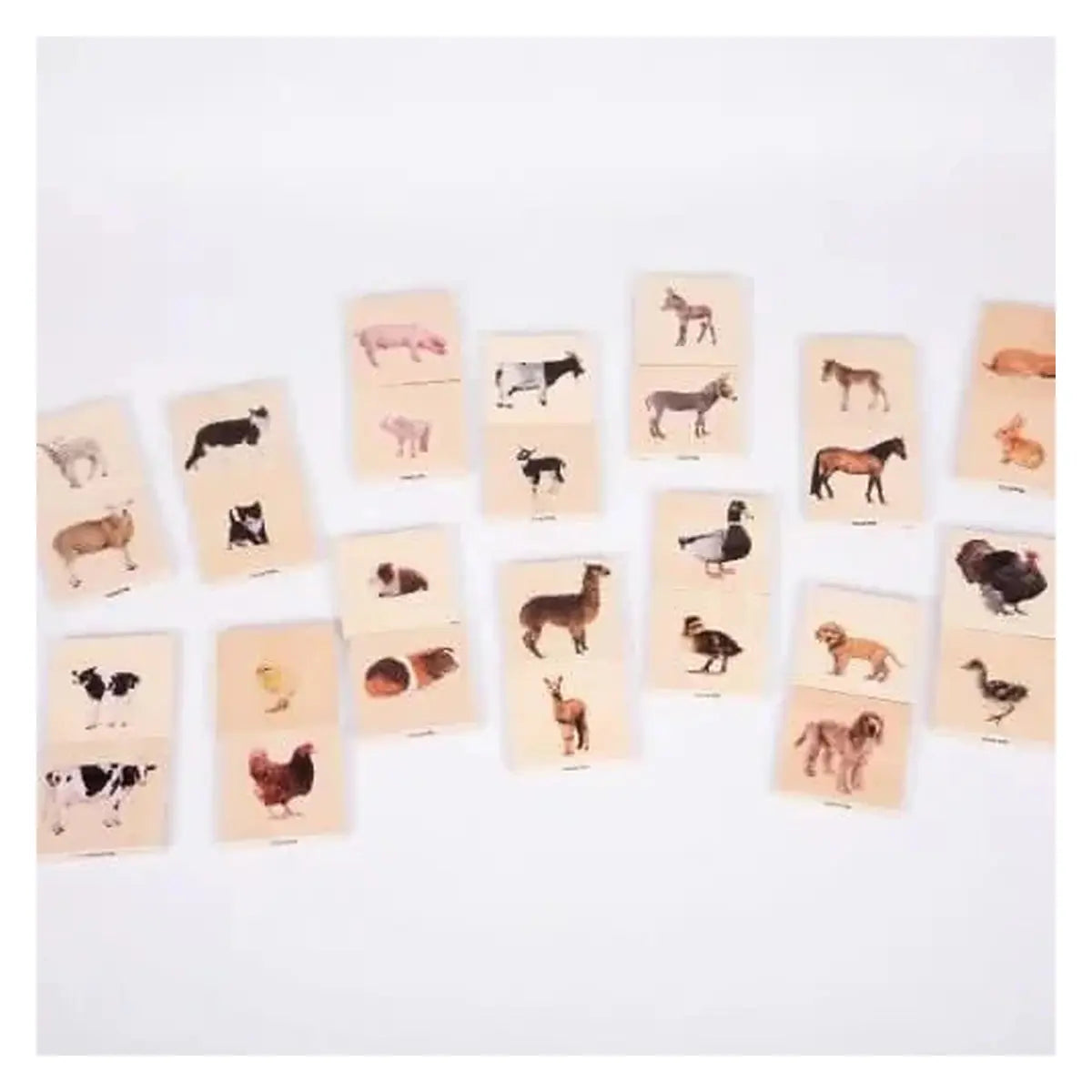 Domestic Animal Family Match Game-Domestic Animal Family Match Game
