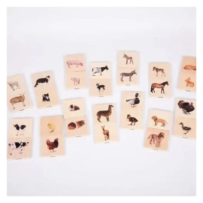Domestic Animal Family Match Game-Domestic Animal Family Match Game