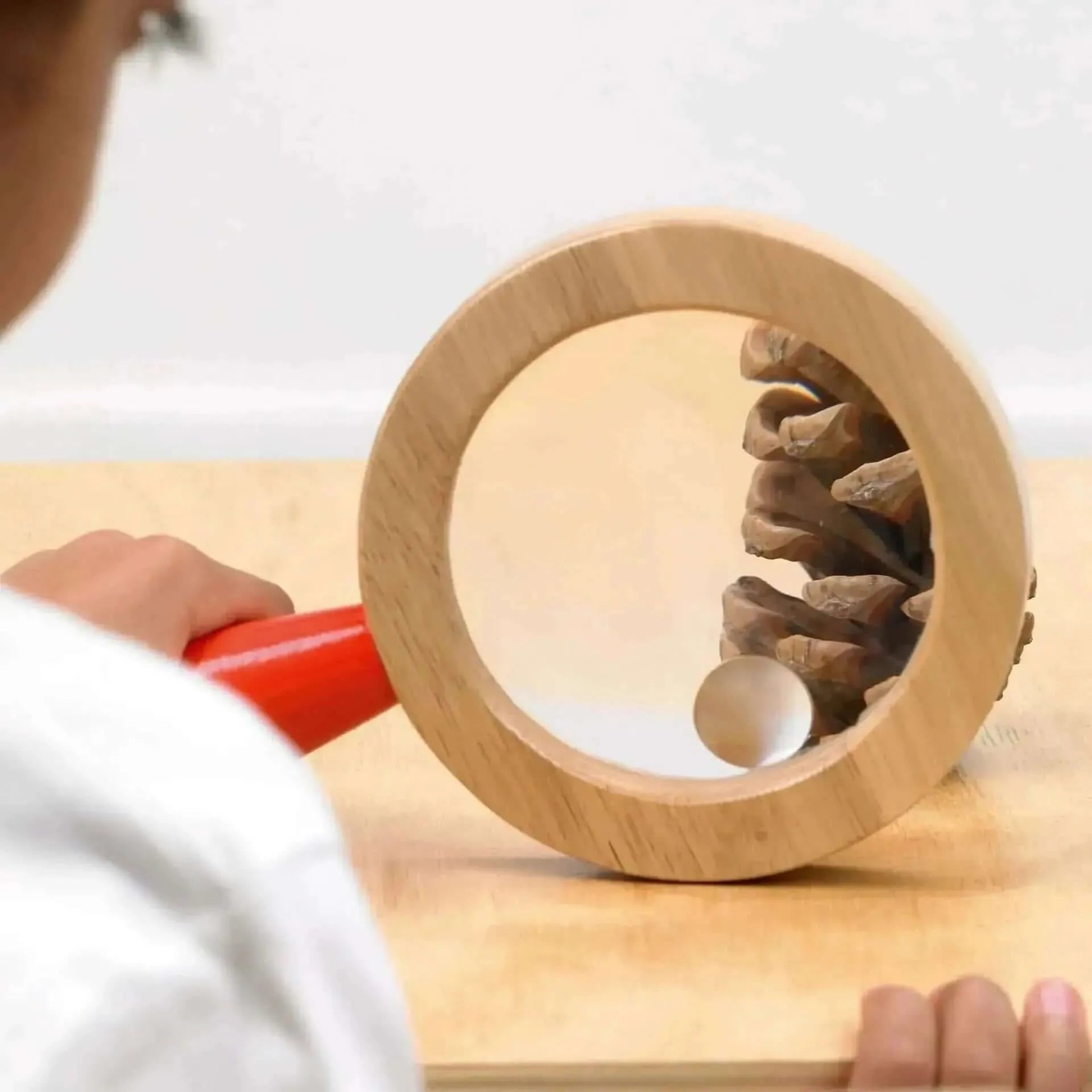 Easy Hold Lens,Wooden Surround Hand Lens,Large reflective magnifier ...