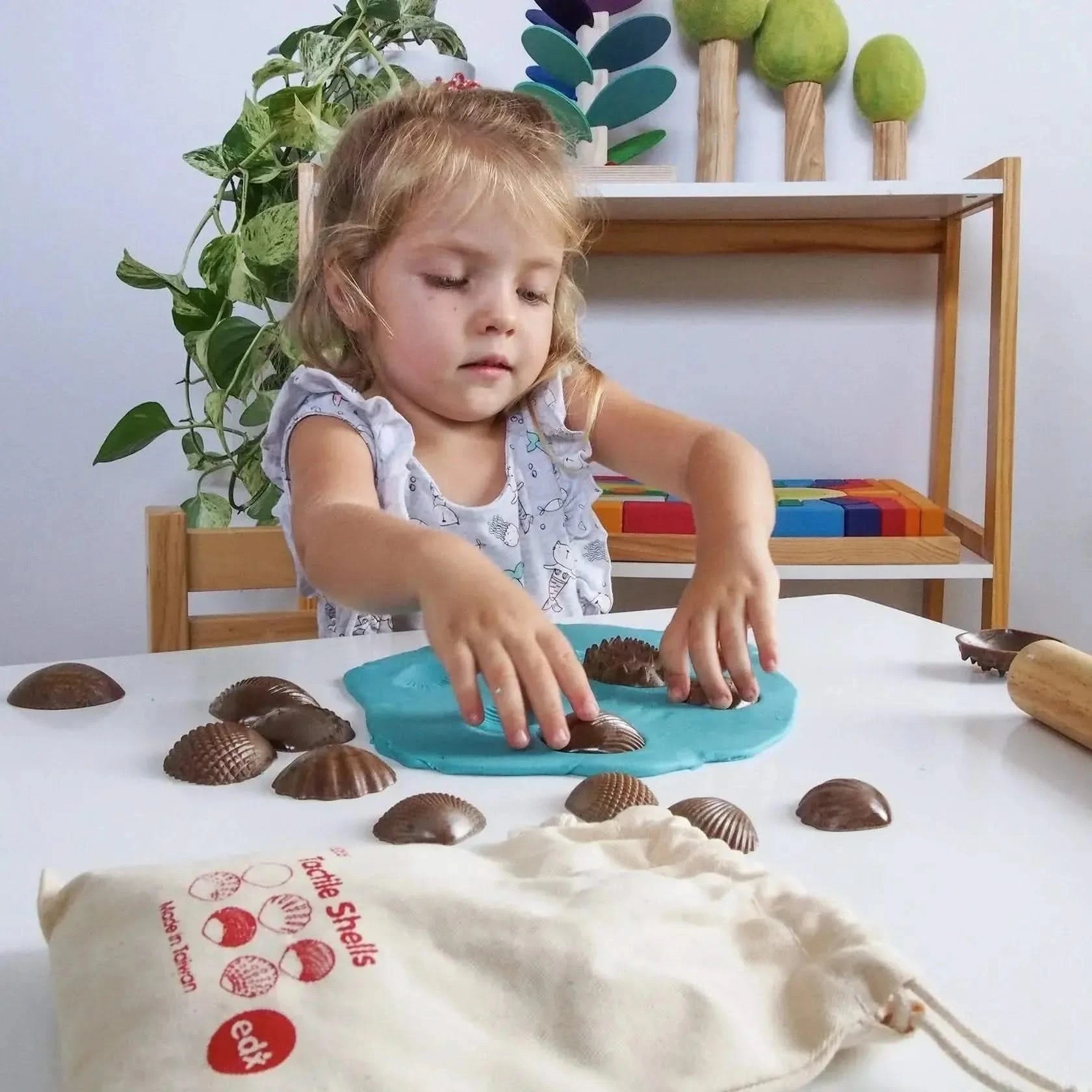 Eco Friendly Tactile Shells Pack 36-Eco Friendly Tactile Shells Pack 36