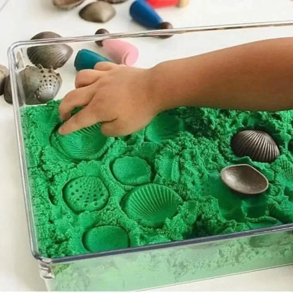 Eco Friendly Tactile Shells Pack 36-Eco Friendly Tactile Shells Pack 36