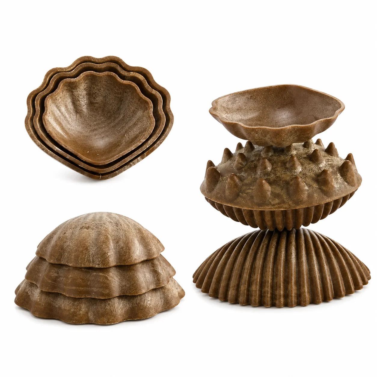 Eco Friendly Tactile Shells Pack 36-Eco Friendly Tactile Shells Pack 36
