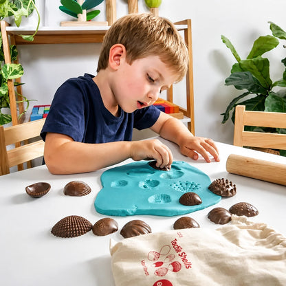 Eco Friendly Tactile Shells Pack 36-Eco Friendly Tactile Shells Pack 36