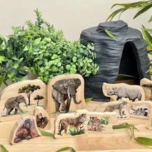 Endangered Animal Families Wooden Characters-Endangered Animal Families Wooden Characters