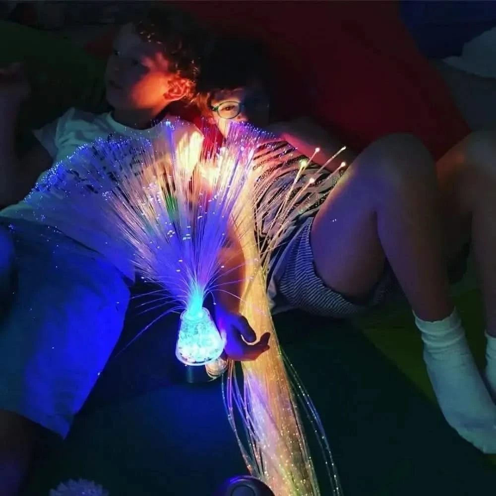 Fibre optic ice lamp-Fibre optic ice lamp