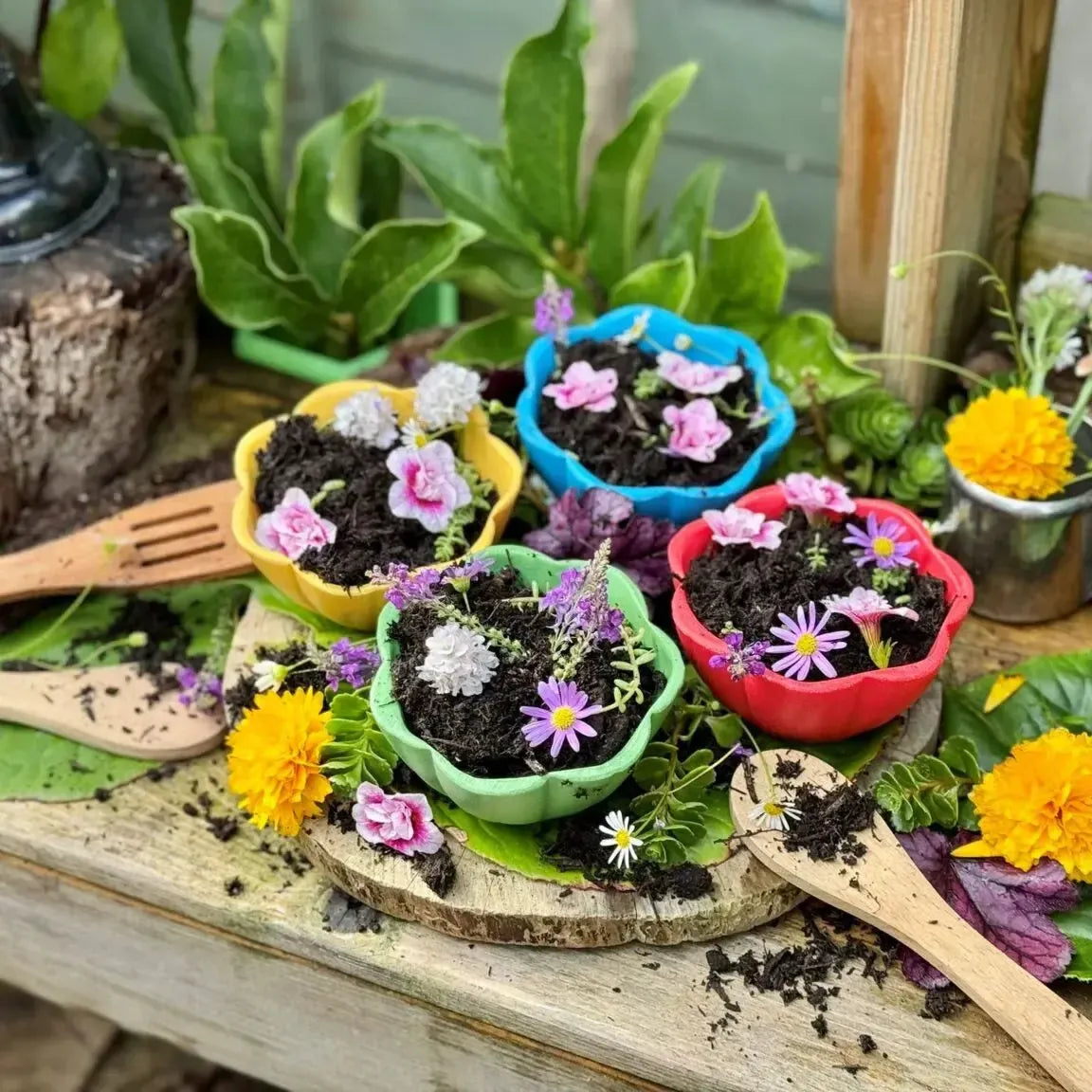 Flower Bowls-Flower Bowls