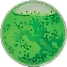 Frog Spawn Slime-Frog Spawn Slime