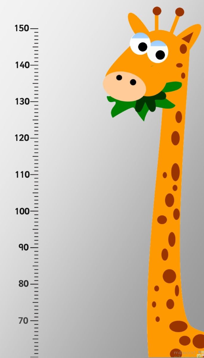 Giraffe Height Mirror, Presenting the Giraffe Height Mirror, a wonderful addition to any child's room or nursery! This acrylic mirror not only reflects their adorable faces but also serves as an engaging height chart. With clear centimeter markings extending up to 150cm, children can track their growth progress. It's not just a mirror; it's a fun and educational tool. You can even use a dry wipe marker to record your child's height over time, creating a personalized growth chart that's both memorable and pr