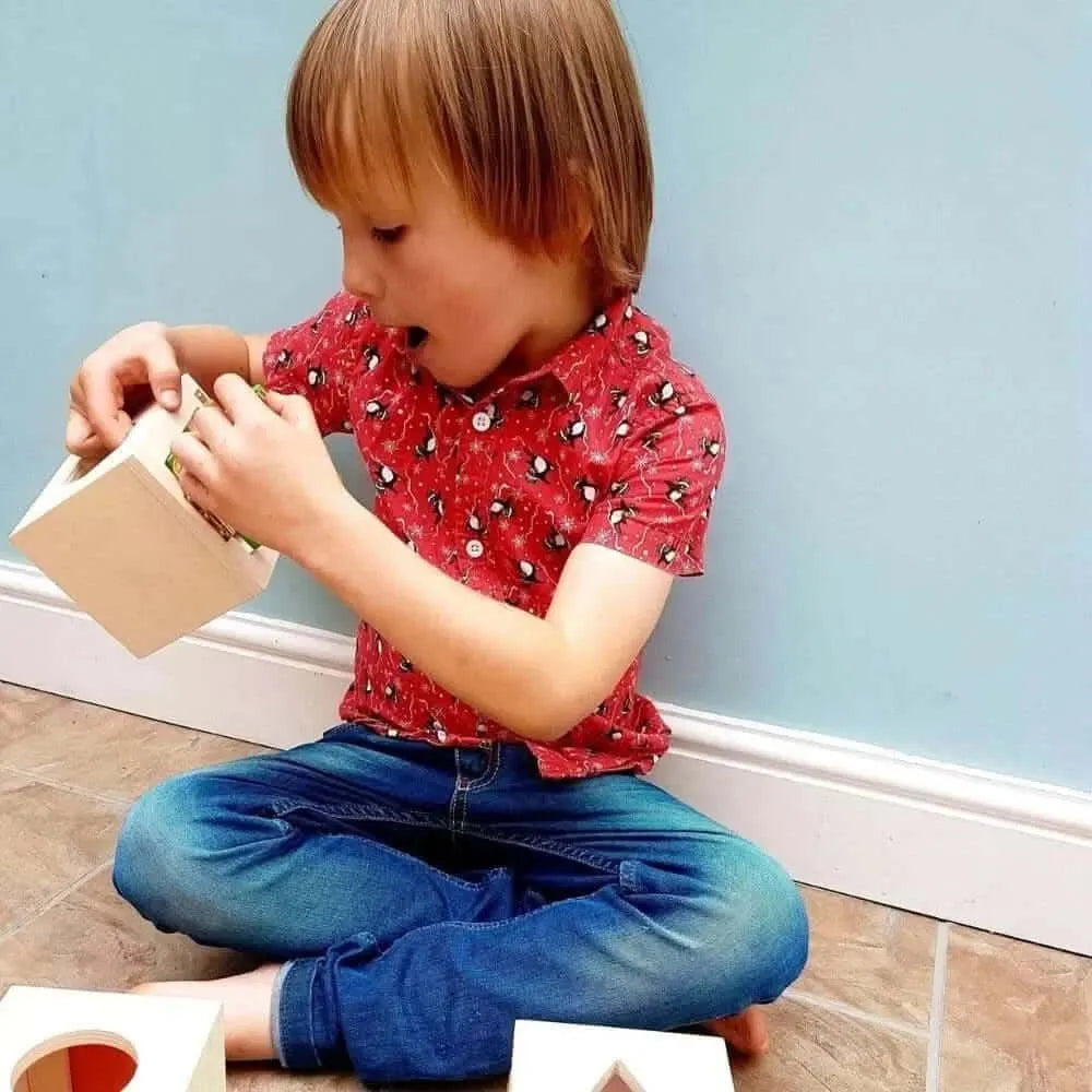 Guidecraft Peekaboo Lock Boxes-Guidecraft Peekaboo Lock Boxes