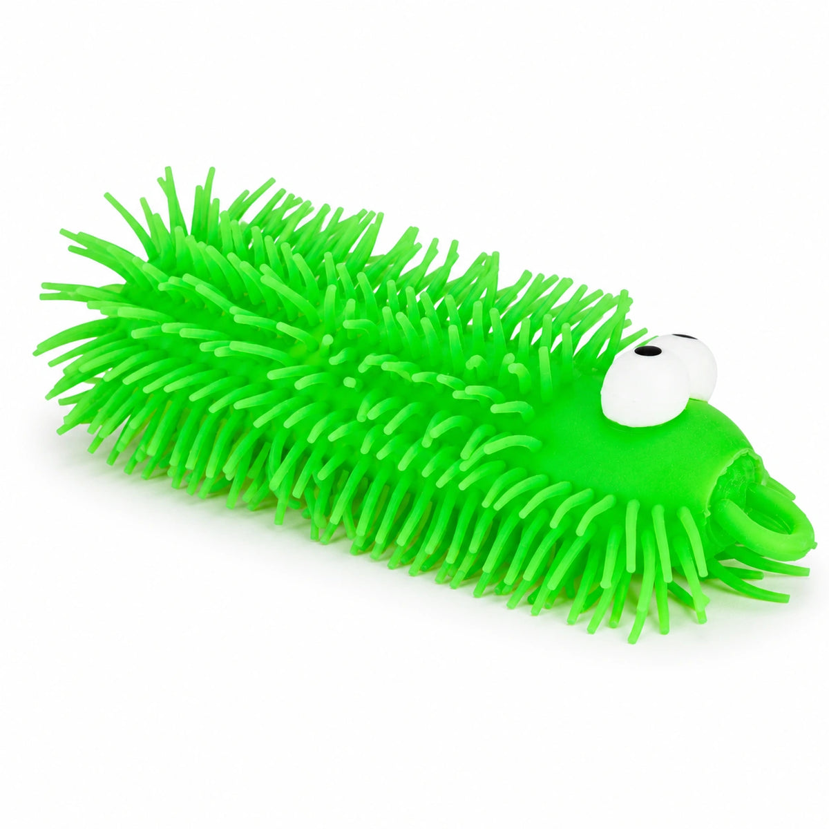 Hairy Horris Puffer Caterpillar-Hairy Horris Puffer Caterpillar
