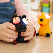 I Pop Light Up Animals-I Pop Light Up Animals