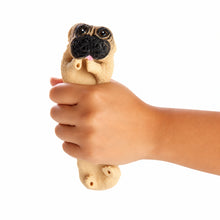Squishy Pug Toy