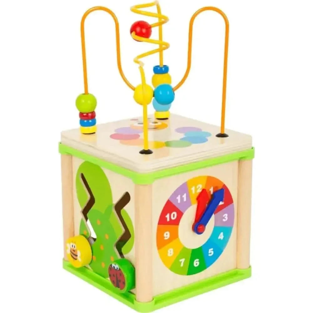 Insect Motor Skills Training Cube-Insect Motor Skills Training Cube