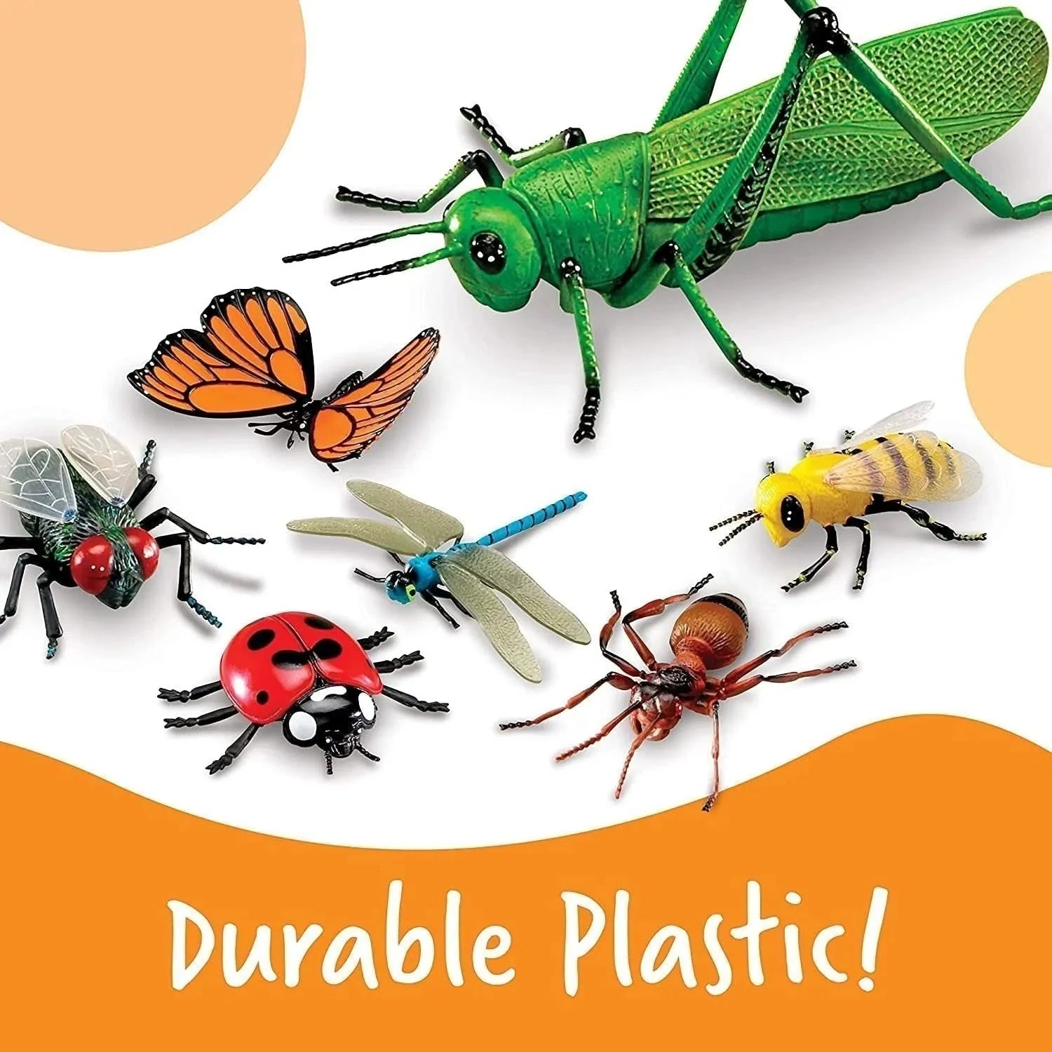 Jumbo Insects-Jumbo Insects