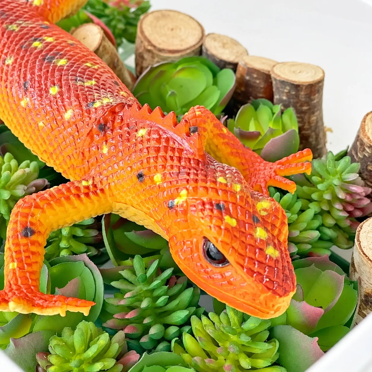 Jumbo Reptiles & Amphibians-Jumbo Reptiles & Amphibians