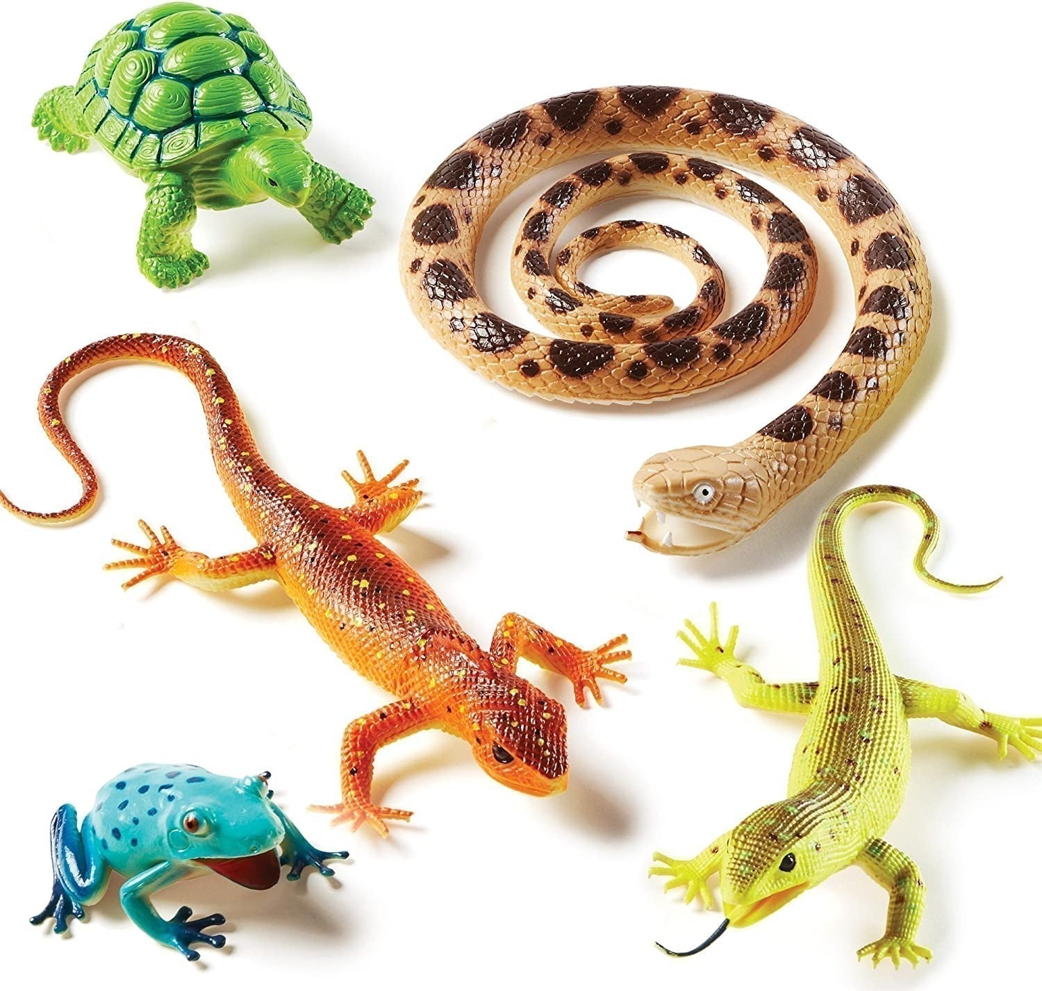 Jumbo Reptiles & Amphibians, Ideal for imaginative play, this durable and realistically detailed Jumbo Reptiles and Amphibians Set is perfectly sized for little hands. This Jumbo Reptiles & Amphibians set includes 5 animals: gecko, snake, tree frog, tortoise and iguana. Teach young learners about the slither of a snake, the chirp of a colourful tree frog, and the darting glances of a gecko with this five-piece set (which also includes a tortoise and an iguana), or let imaginations run from one wild kingdom 