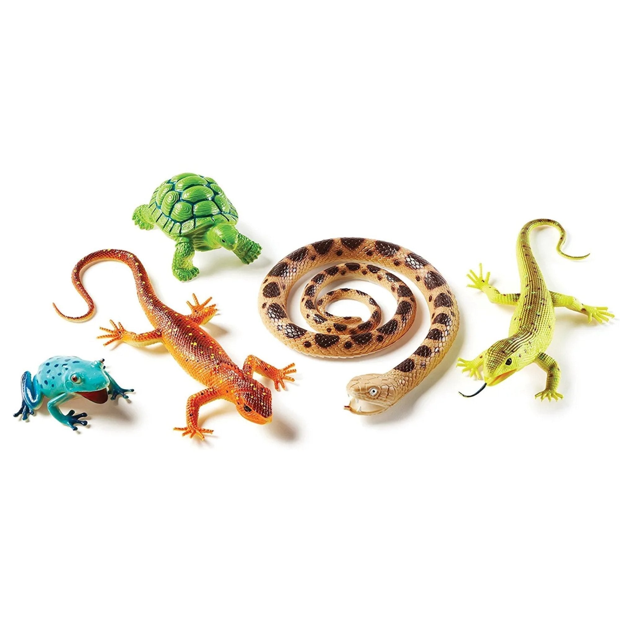 Jumbo Reptiles & Amphibians, Ideal for imaginative play, this durable and realistically detailed Jumbo Reptiles and Amphibians Set is perfectly sized for little hands. This Jumbo Reptiles & Amphibians set includes 5 animals: gecko, snake, tree frog, tortoise and iguana. Teach young learners about the slither of a snake, the chirp of a colourful tree frog, and the darting glances of a gecko with this five-piece set (which also includes a tortoise and an iguana), or let imaginations run from one wild kingdom 