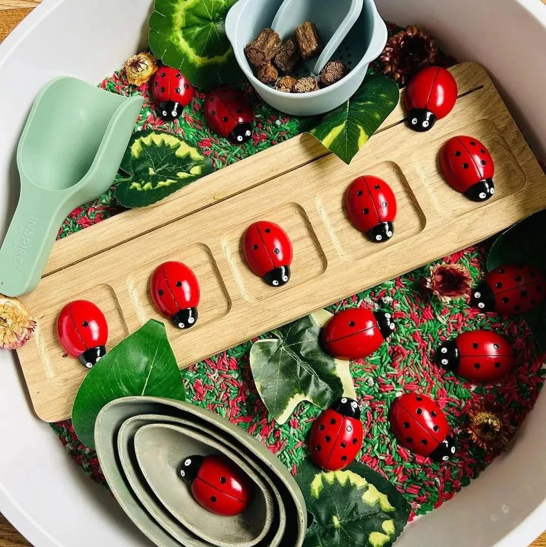 Ladybug Counting Stones Kit-Ladybug Counting Stones Kit