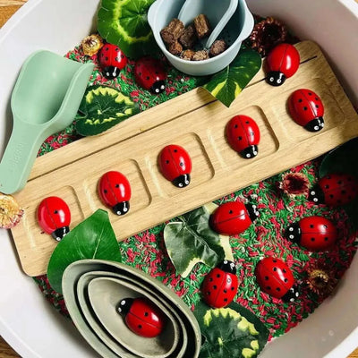 Ladybug Counting Stones Kit-Ladybug Counting Stones Kit