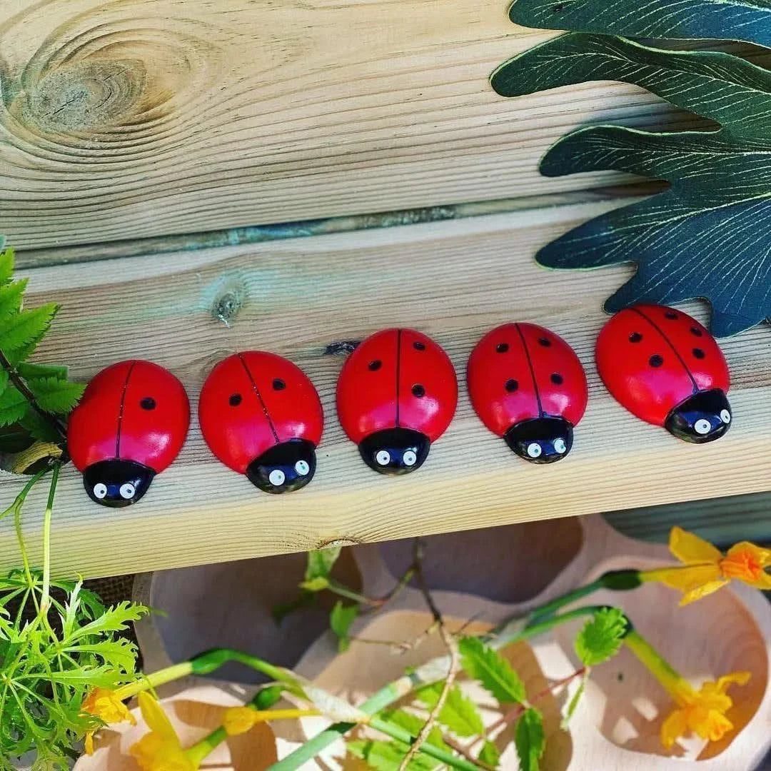 Ladybug Counting Stones Kit-Ladybug Counting Stones Kit