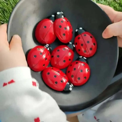 Ladybug Counting Stones Kit-Ladybug Counting Stones Kit