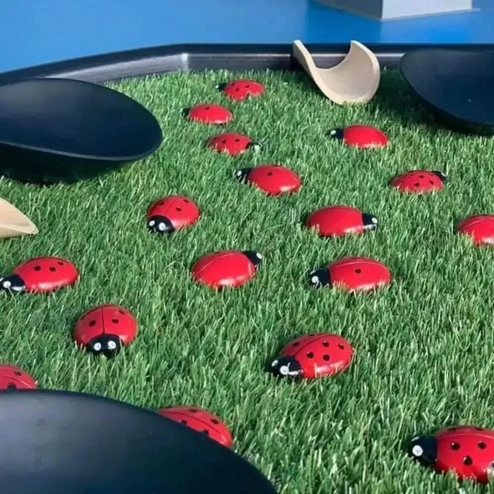 Ladybug Counting Stones Kit-Ladybug Counting Stones Kit