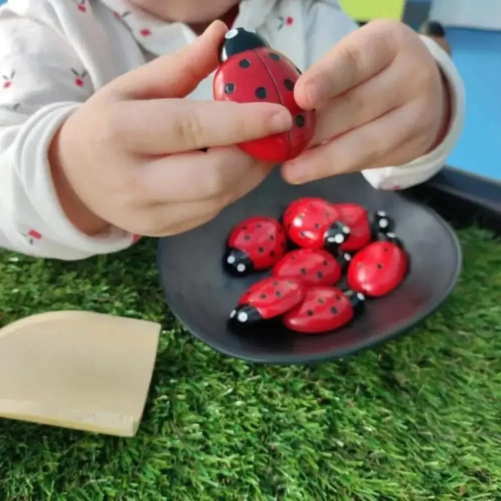 Ladybug Counting Stones Kit-Ladybug Counting Stones Kit