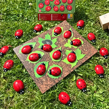 Ladybug Counting Stones Kit-Ladybug Counting Stones Kit