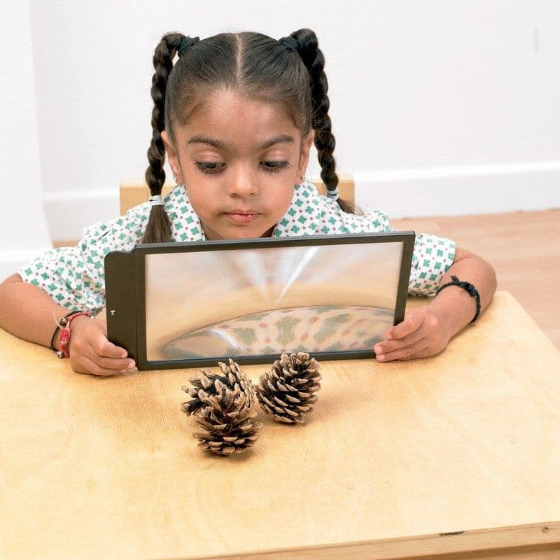 Large Sheet Magnifier, The Large Sheet Magnifier is a versatile and user-friendly tool designed with young explorers in mind. With its ease of use, low cost, and up to 3x magnification, it opens up exciting opportunities for learning and discovery both indoors and in the great outdoors. Large Sheet Magnifier Features: User-Friendly: This magnifier is specially crafted for small hands, making it easy for young learners to handle and explore their surroundings with curiosity. Cost-Effective: The Large Sheet M