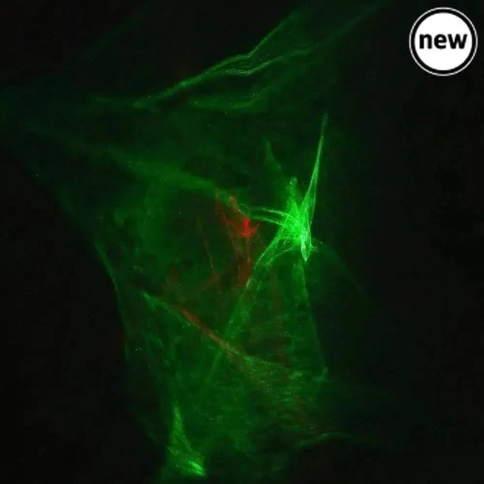 Laser Amazer-Laser Amazer