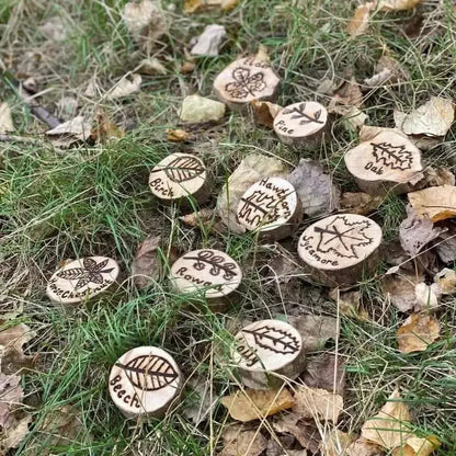 Leaf Garden Discs-Leaf Garden Discs