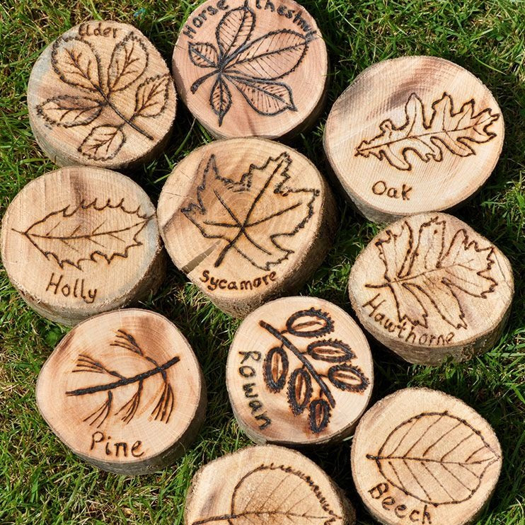 Leaf Garden Discs, A set of 10 wooden discs displaying different leaf shapes. Labelled for easy identification. Would look great on a nature display or for children to match to leaves. Why not take them on a walk to the woods and hand out to children to see if they can find the right leaf, or hang. Set of 10. Dia 7cm. Size will vary as this is a natural product. Drilled for hanging., Leaf Garden Discs,Cosy Direct,Cosy Direct Voucher Code,Cosy Direct,Natural wooden play resources,Leaf Garden Discs Pack of 10