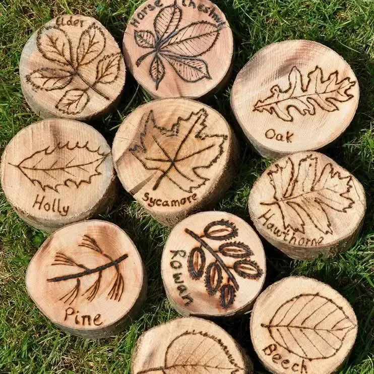 Leaf Garden Discs-Leaf Garden Discs