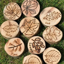 Leaf Garden Discs-Leaf Garden Discs