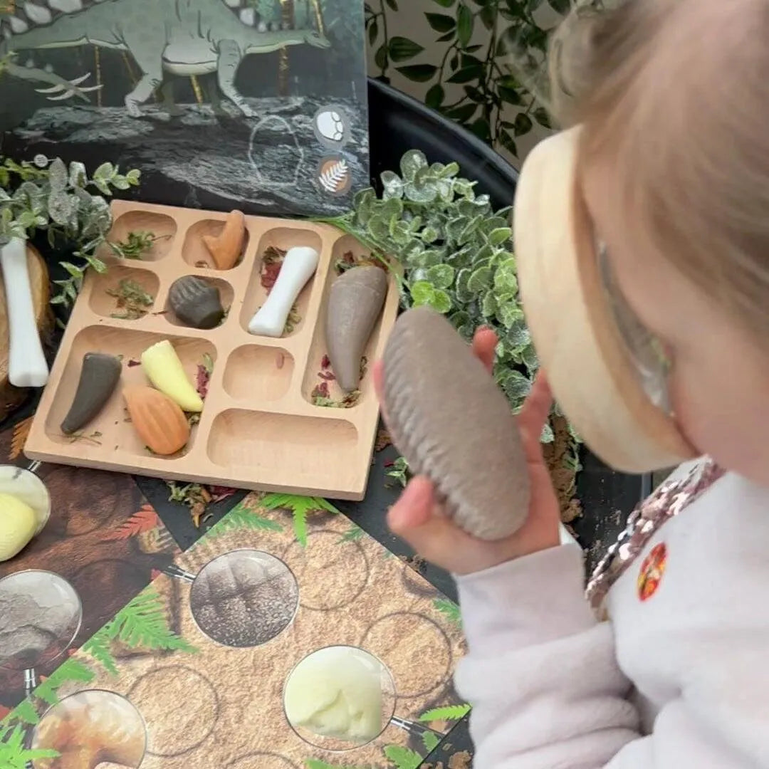 Let’s Investigate Prehistoric Teeth-Let’s Investigate Prehistoric Teeth