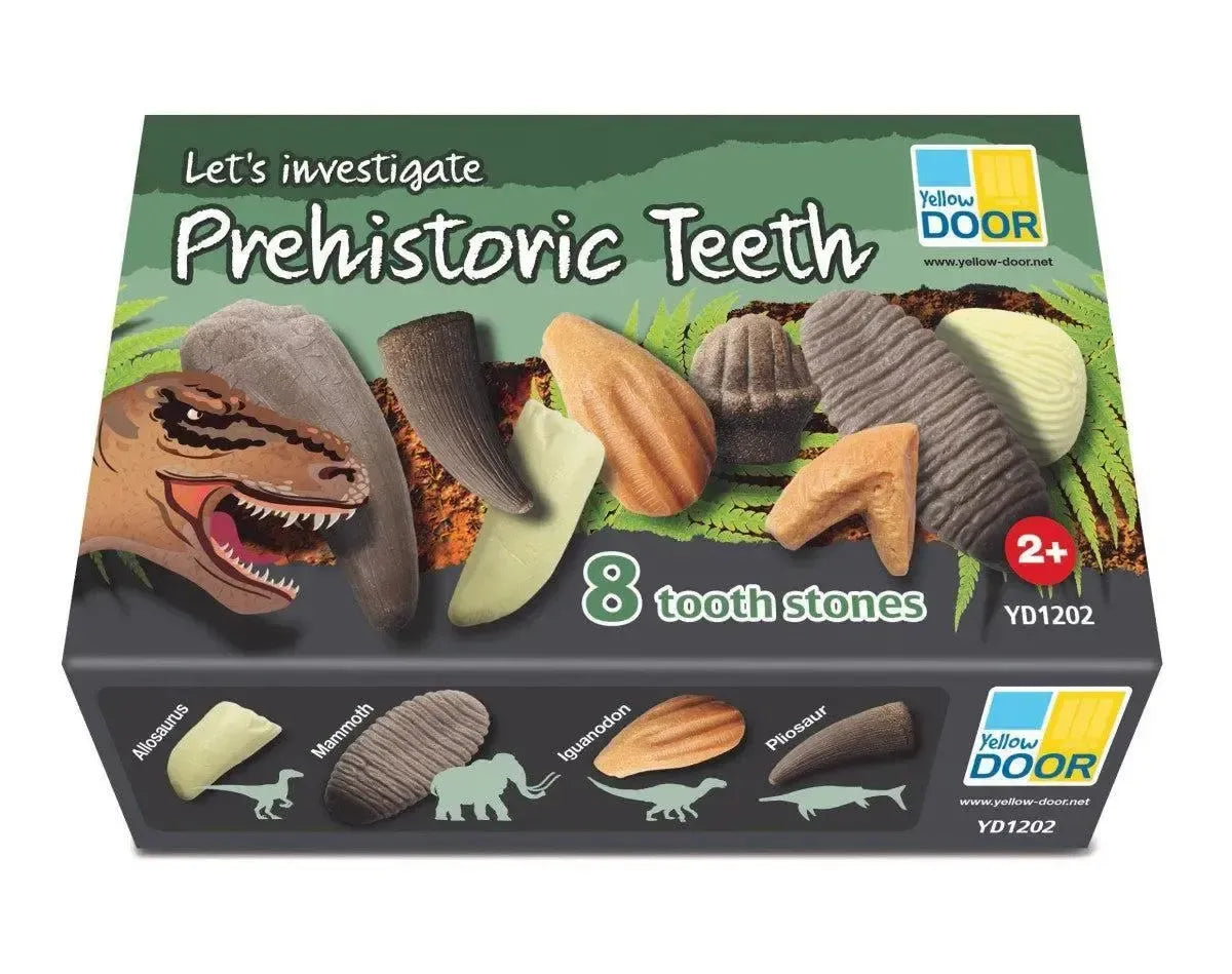 Let’s Investigate Prehistoric Teeth-Let’s Investigate Prehistoric Teeth