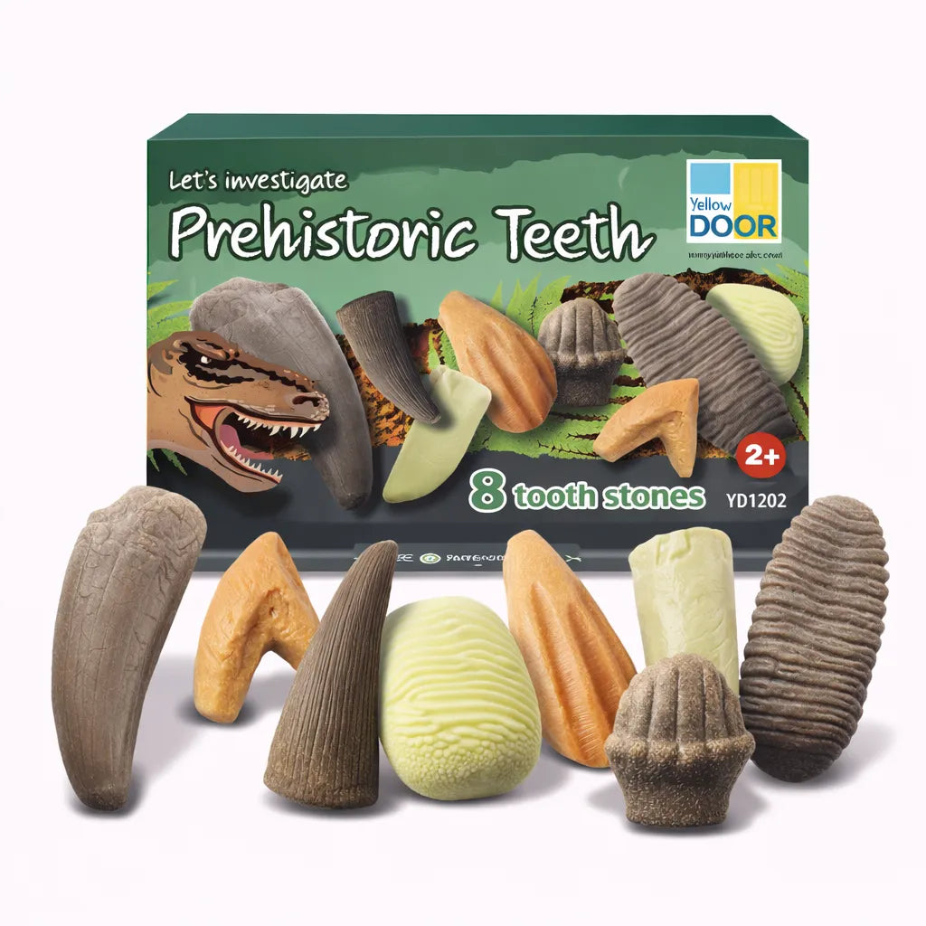 Let’s Investigate Prehistoric Teeth-Let’s Investigate Prehistoric Teeth