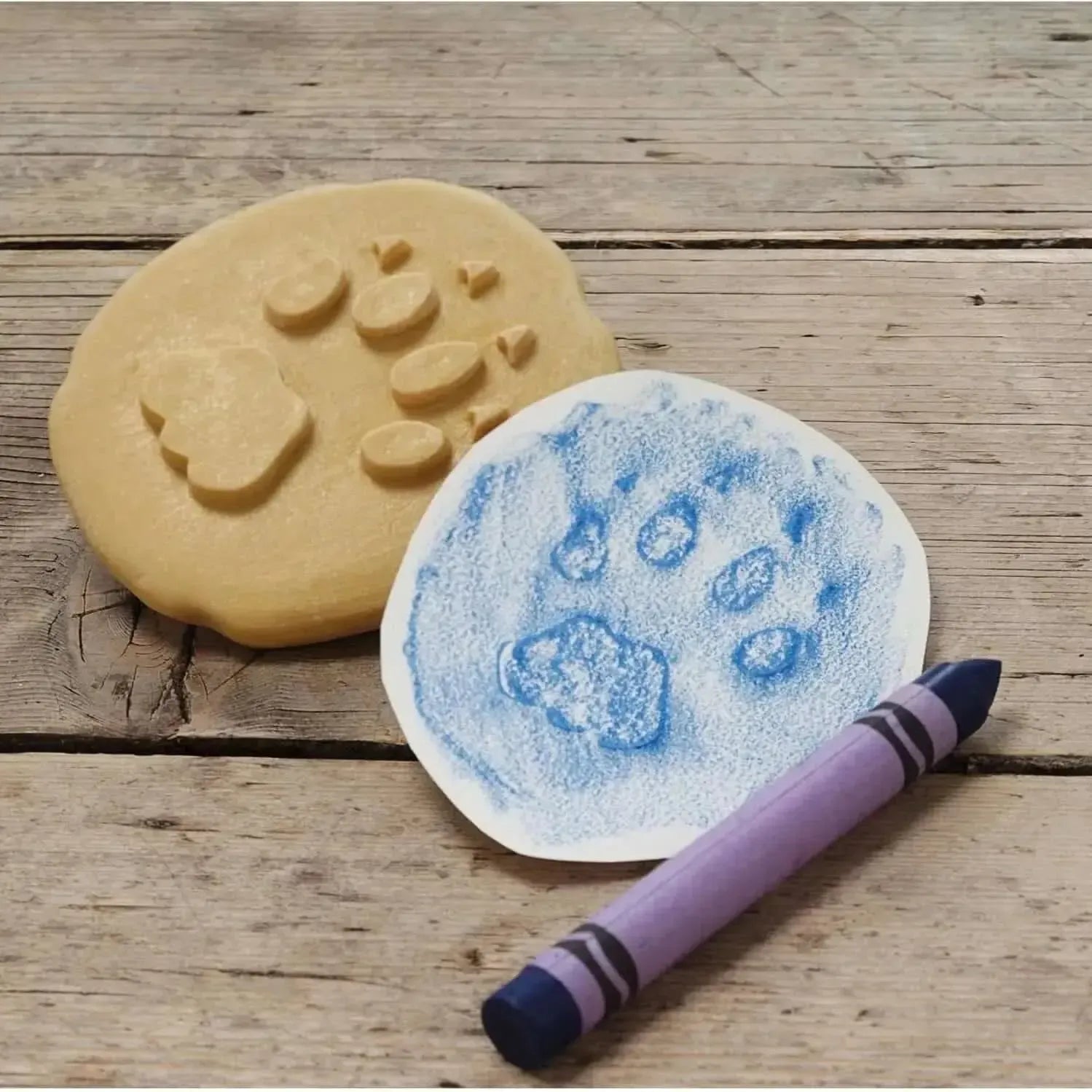 Let’s Investigate Safari Footprints-Let’s Investigate Safari Footprints