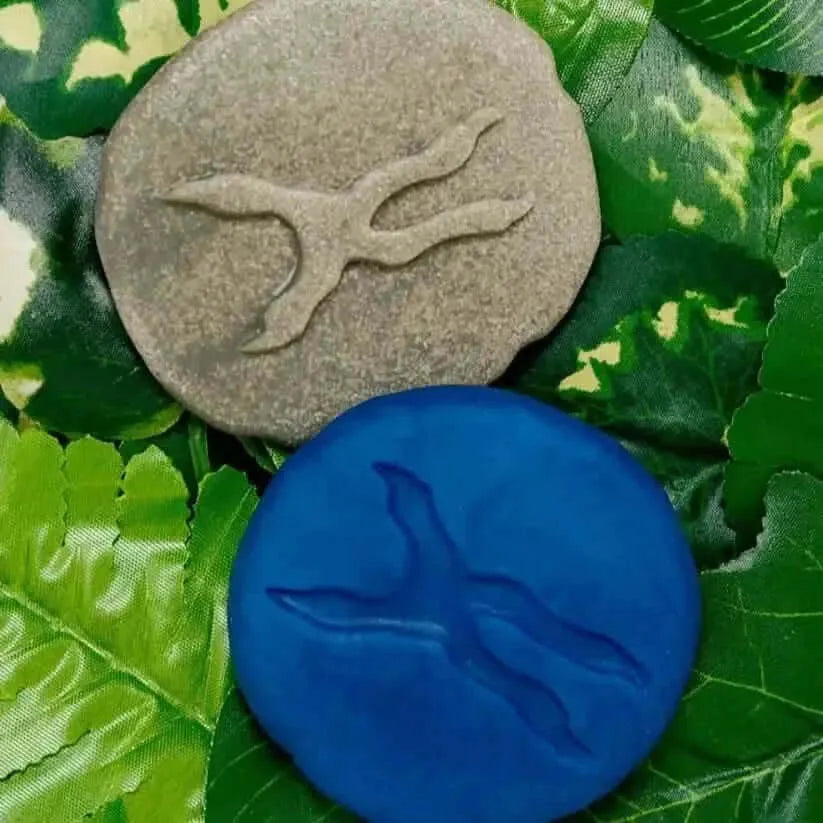 Let’s Investigate Woodland Footprints-Let’s Investigate Woodland Footprints