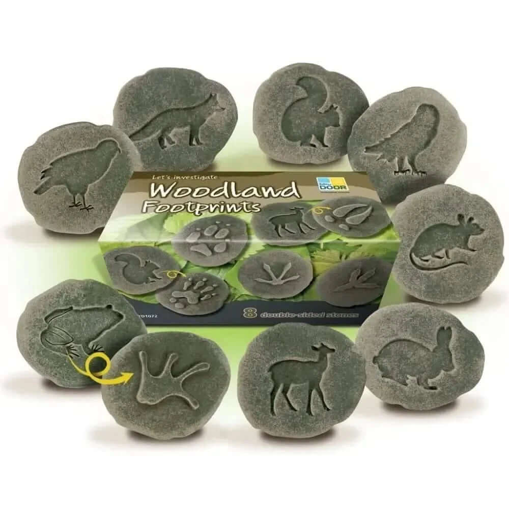 Let’s Investigate Woodland Footprints-Let’s Investigate Woodland Footprints
