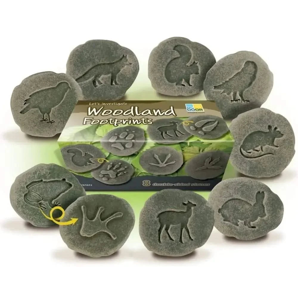 Let’s Investigate Woodland Footprints-Let’s Investigate Woodland Footprints