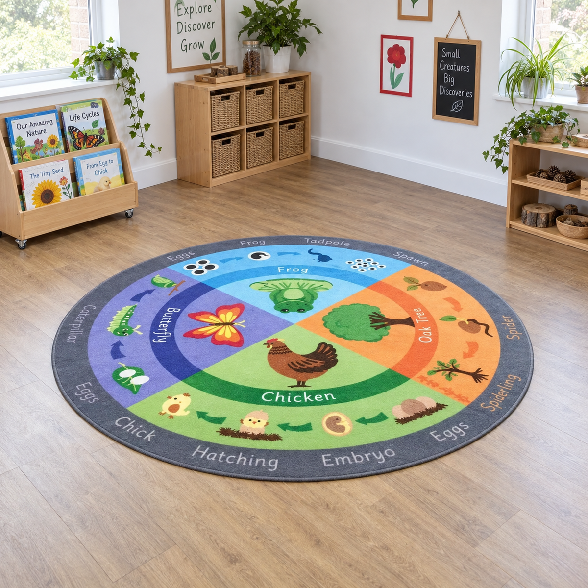 Life Cycle Mat Circle 2 x 2m lifestyle image 5 of 8 without children