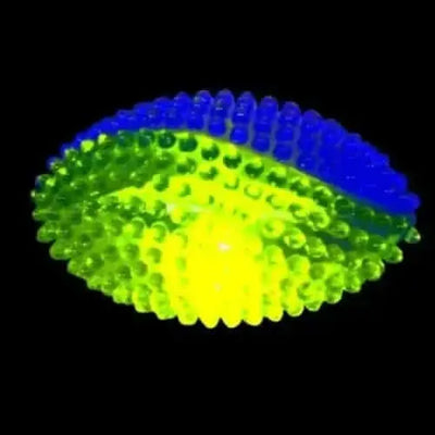 Light Up Mini Rugby Ball-Light Up Mini Rugby Ball
