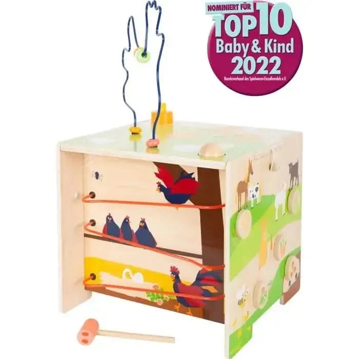 Motor Activity Cube Country Life-Motor Activity Cube Country Life