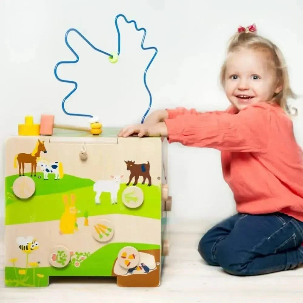 Motor Activity Cube Country Life-Motor Activity Cube Country Life