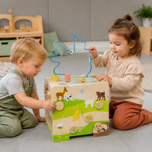 Motor Activity Cube Country Life-Motor Activity Cube Country Life